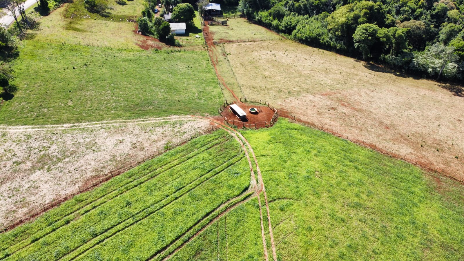 SIPA — módulo com bovinos