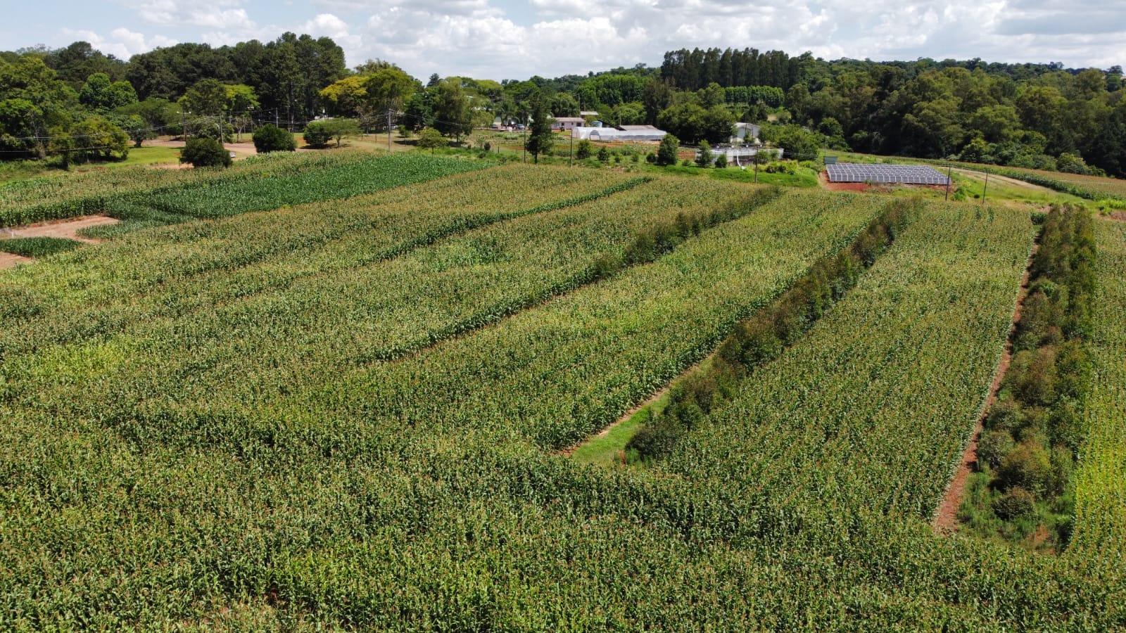 SIPA — módulo ILPF